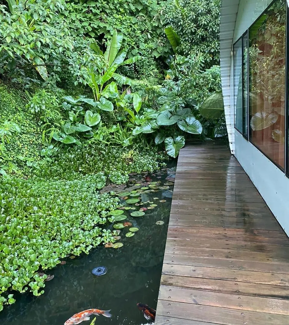 Finca El Tambor Nature Reserve, Lodging And Tours Antigua Lodge