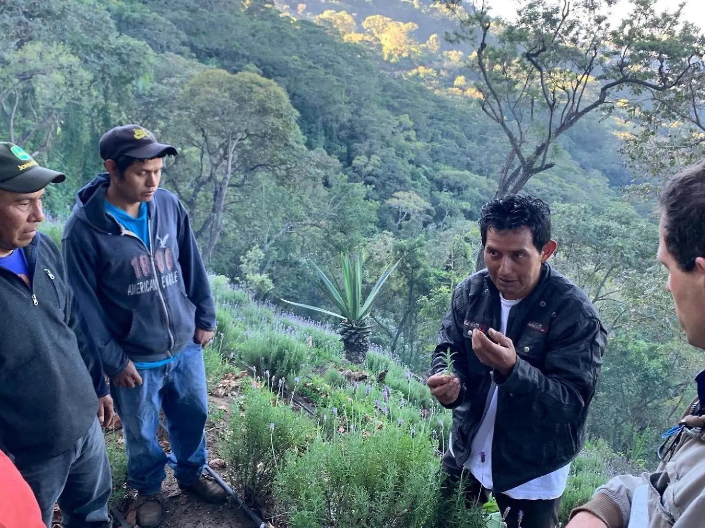 Finca El Tambor Nature Reserve, Lodging And Tours Antigua 0*,  Guatemala