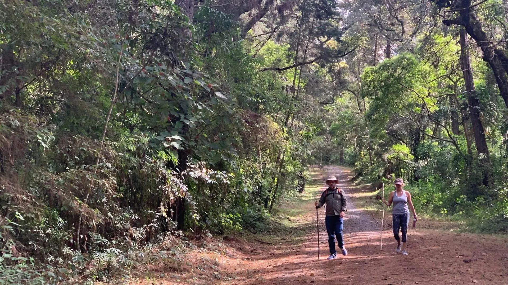 Finca El Tambor Nature Reserve, Lodging And Tours Antigua Lodge