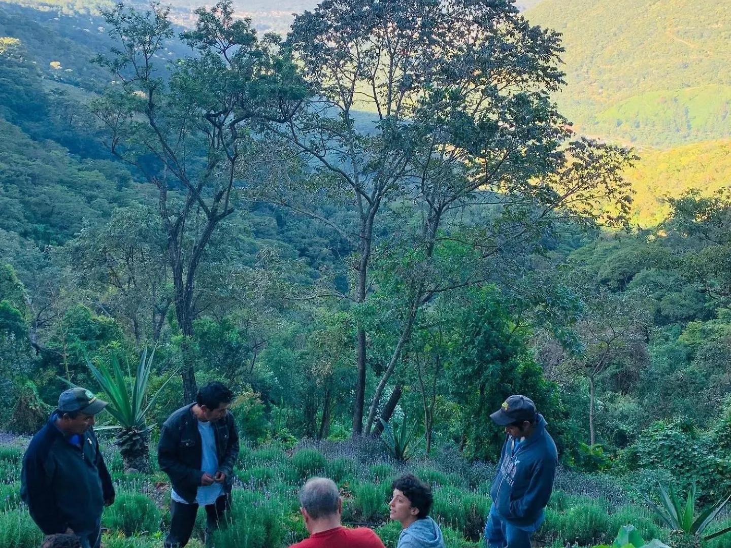 Finca El Tambor Nature Reserve, Lodging And Tours Antigua Lodge