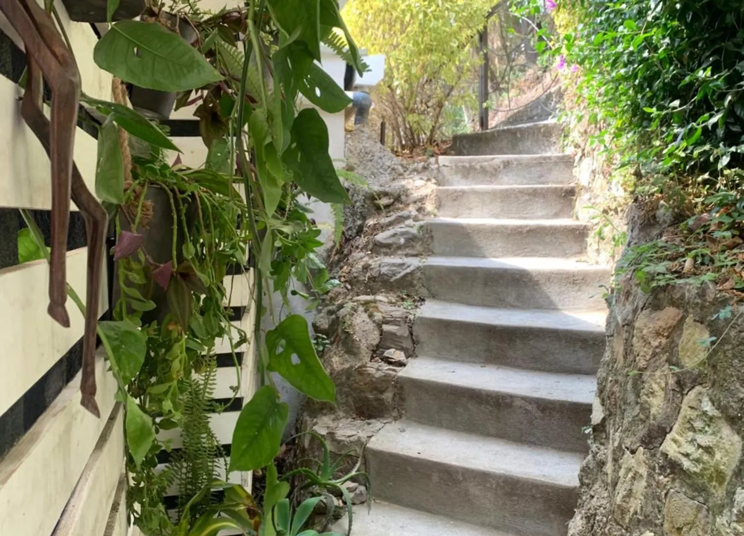 Finca El Tambor Nature Reserve, Lodging And Tours Antigua